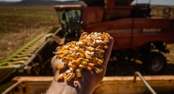 Agronegócio em Goiás emprega mais de 1 milhão de pessoas em 2023